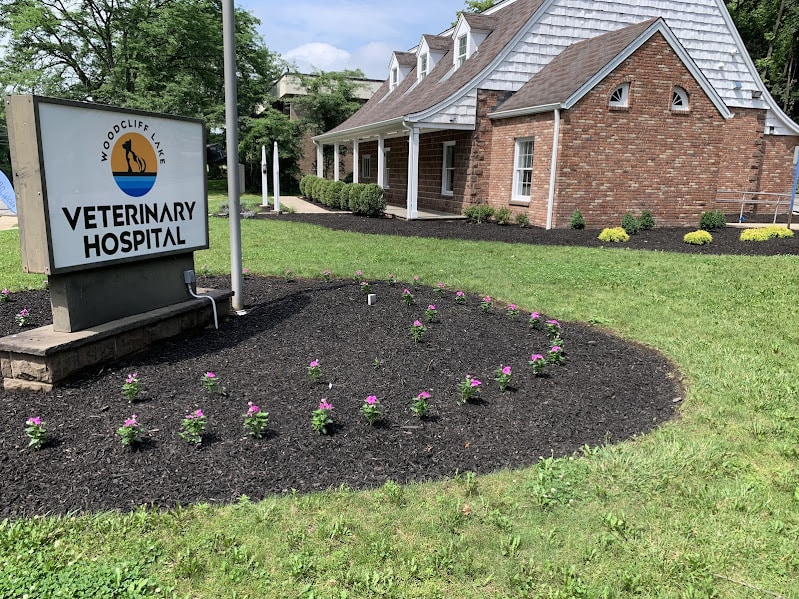 Emergency Veterinary Services at Woodcliff Lake Veterinary Hospital