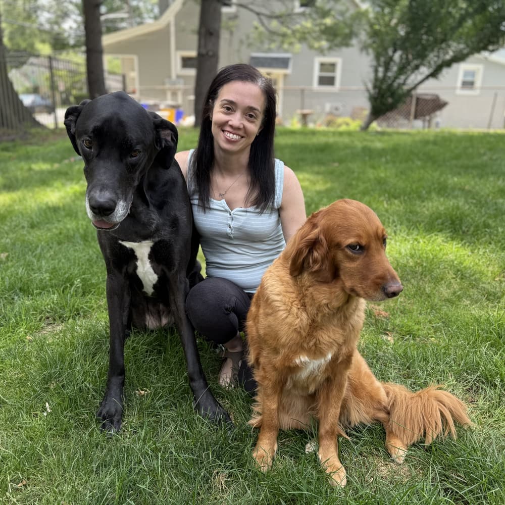 A woman kneels on grass between a large black dog and a medium-sized brown dog, with trees and houses in the background.
