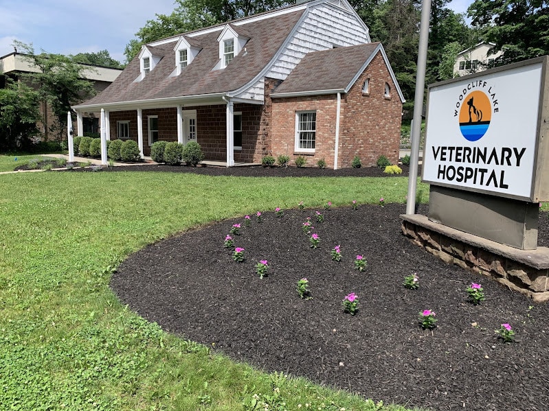 Wellness and Preventive Care for Dogs and Cats at Woodcliff Lake Veterinary Hospital